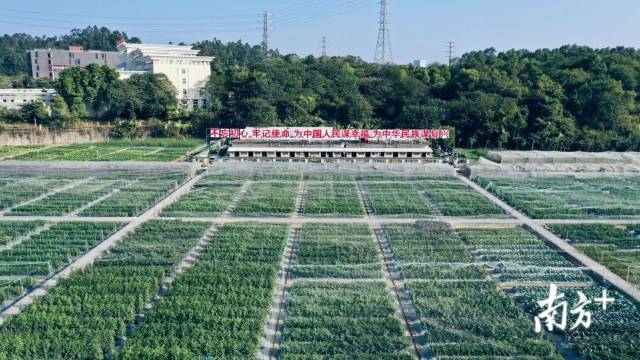 fd20d5e32a9e4c74adc1f76de4dfa49a.jpg fd20d5e32a9e4c74adc1f76de4dfa49a.jpg