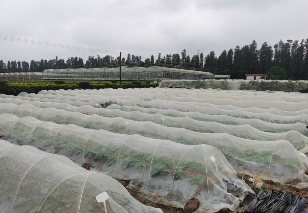 微信圖片_20221123123359.png 微信圖片_20221123123359.png