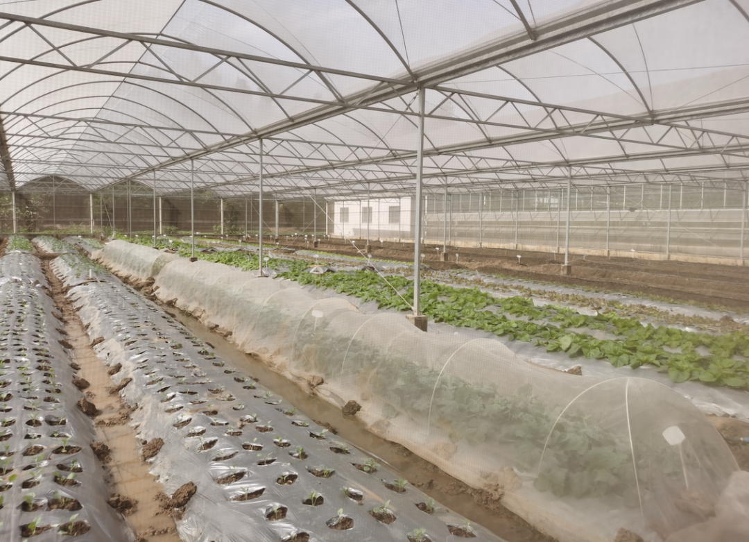 微信圖片_20221123123406.png 微信圖片_20221123123406.png