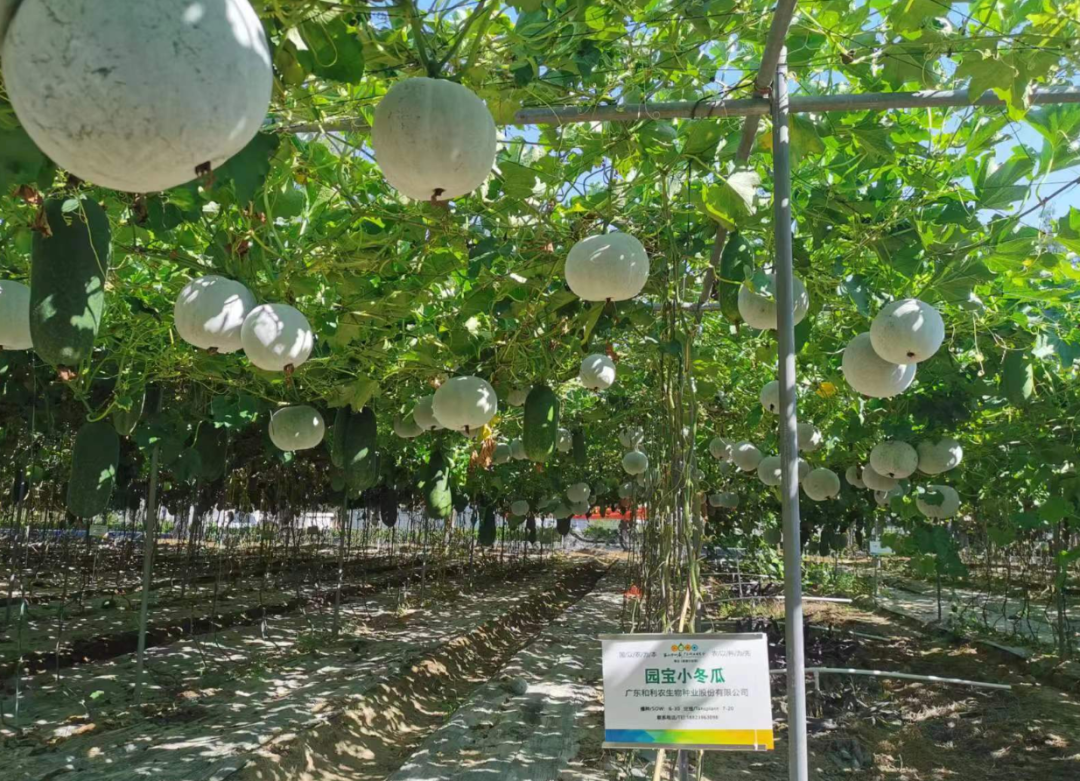 微信圖片_20221123123414.png 微信圖片_20221123123414.png