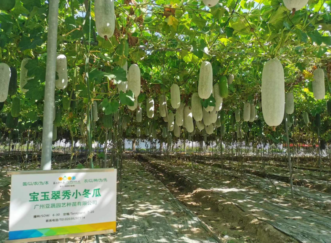 微信圖片_20221123123422.png 微信圖片_20221123123422.png