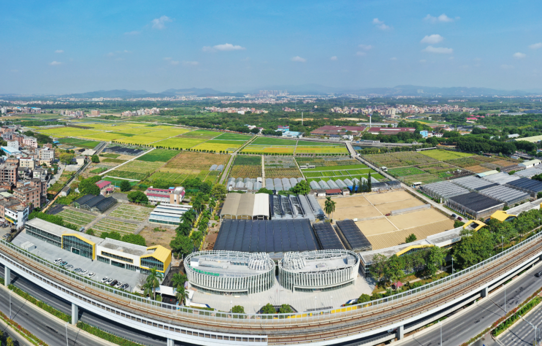 微信圖片_20221123123450.png 微信圖片_20221123123450.png